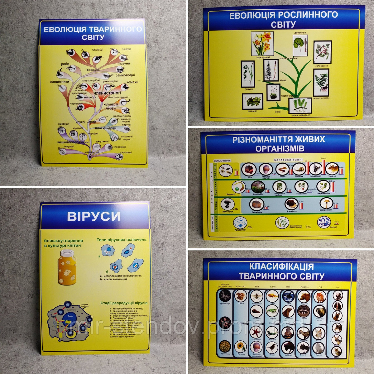 Комплект картонных плакатов по Биологии - фото 1 - id-p5994448