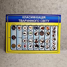 Картонный плакат Классификация животного мира
