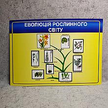 Картонный плакат Эволюция растительного мира