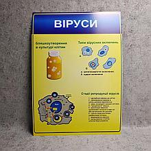 Картонный плакат Вирусы