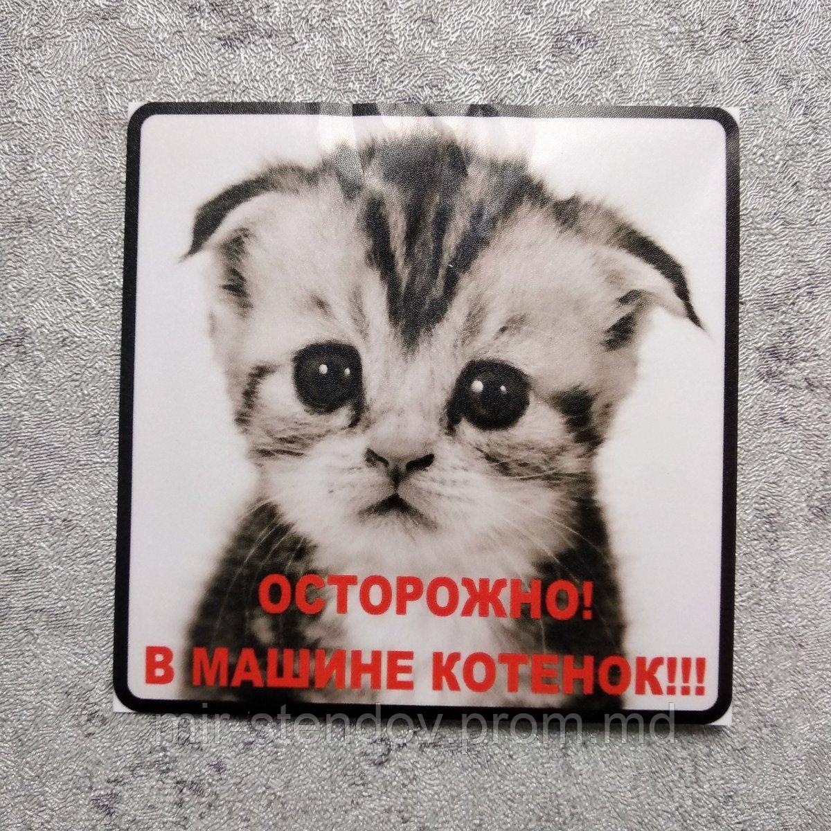 Наклейка на авто В машине котёнок, фото 1