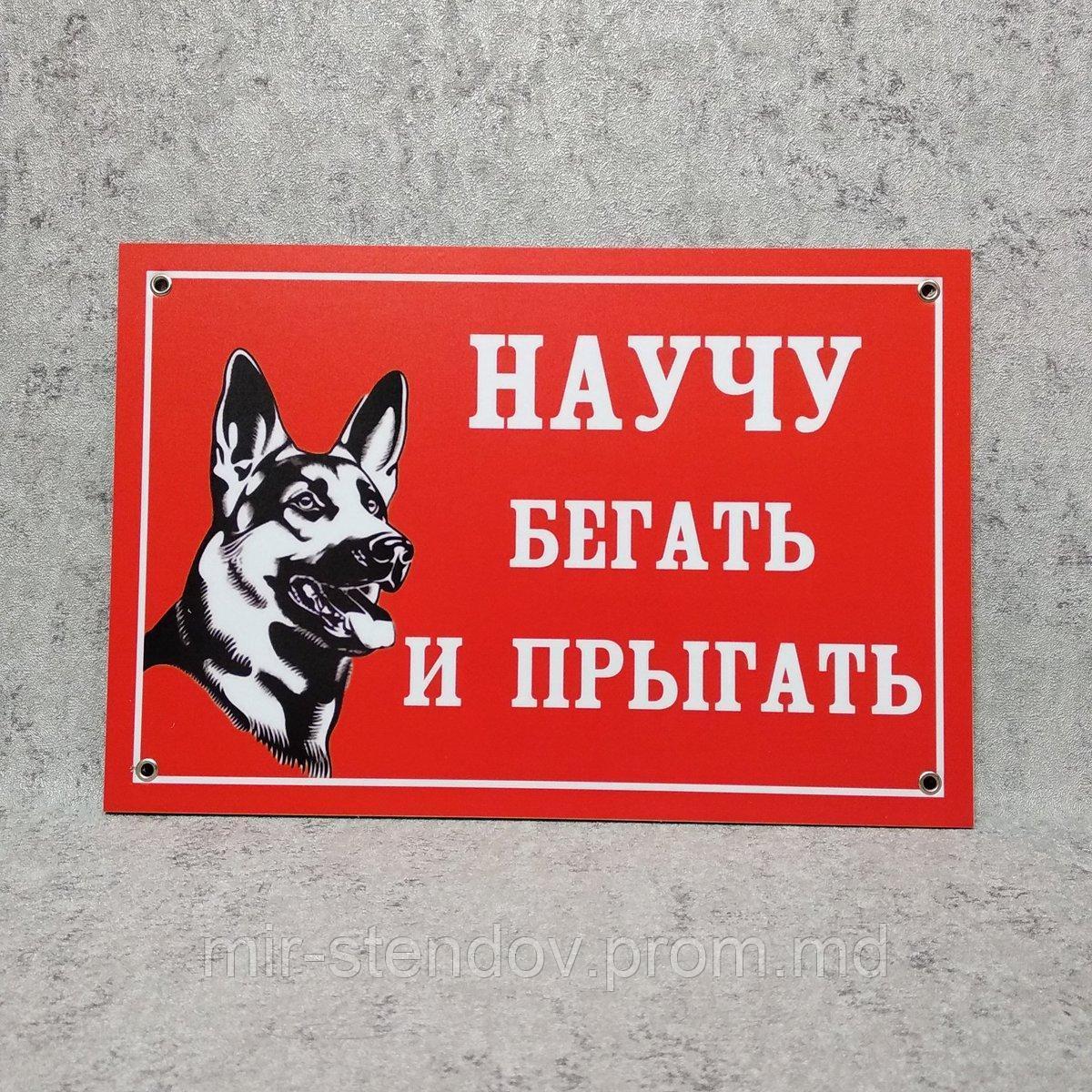 Табличка (Осторожно, злая собака). "Научу бегать и прыгать", фото 1