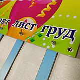 Стенд Дні народження. НУШ, фото 3