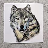 Наклейка на автомобиль Волк, фото 2