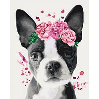Картина по номерам "Собачка в цветочном венке"