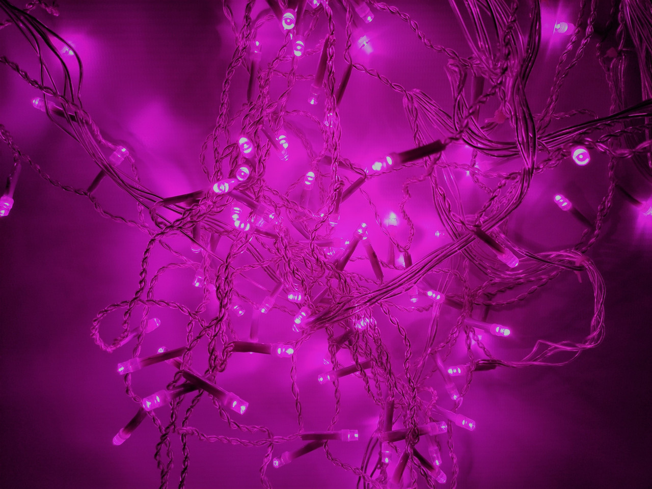 Светодиодная гирлянда 5 метров на батарейках фиолетовый ECOLEND - фото 1 - id-p10413961