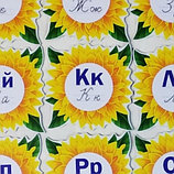 Заглавные и строчные буквы украинского алфавита. Большой алфавит, фото 3