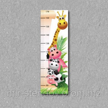 Ростомер Африка, фото 1