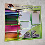 "Аттестация педагогических работников". Пластиковый стенд, фото 2