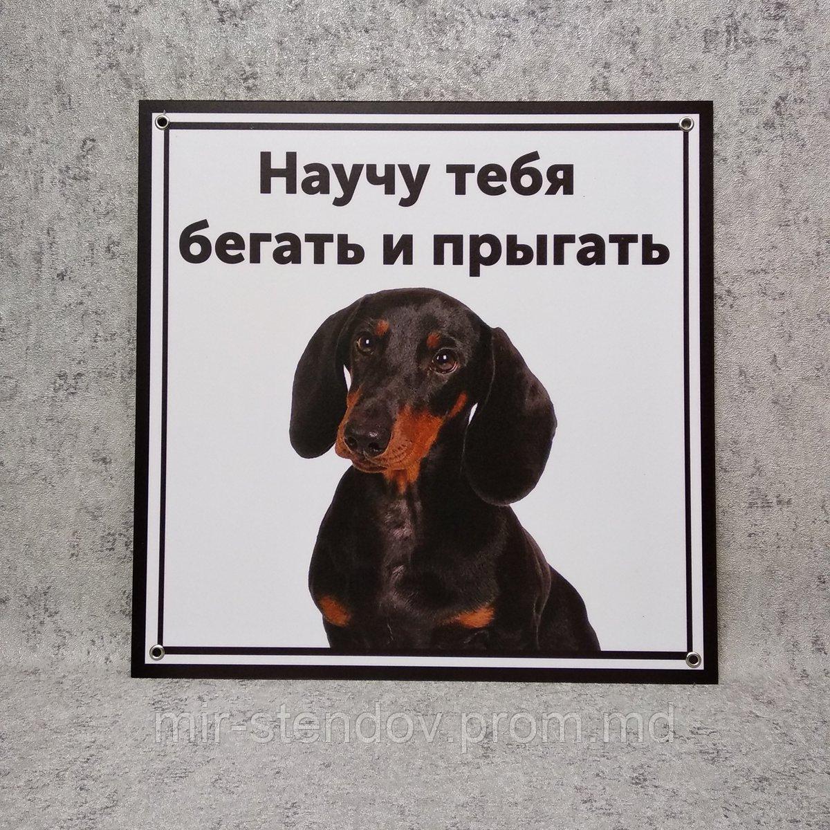 Табличка Научу тебя бегать и прыгать (Такса), фото 1