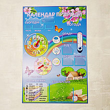 Уголок природы для школы Весенний