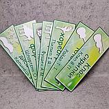 Класс баяна. Кабинетная табличка, фото 2