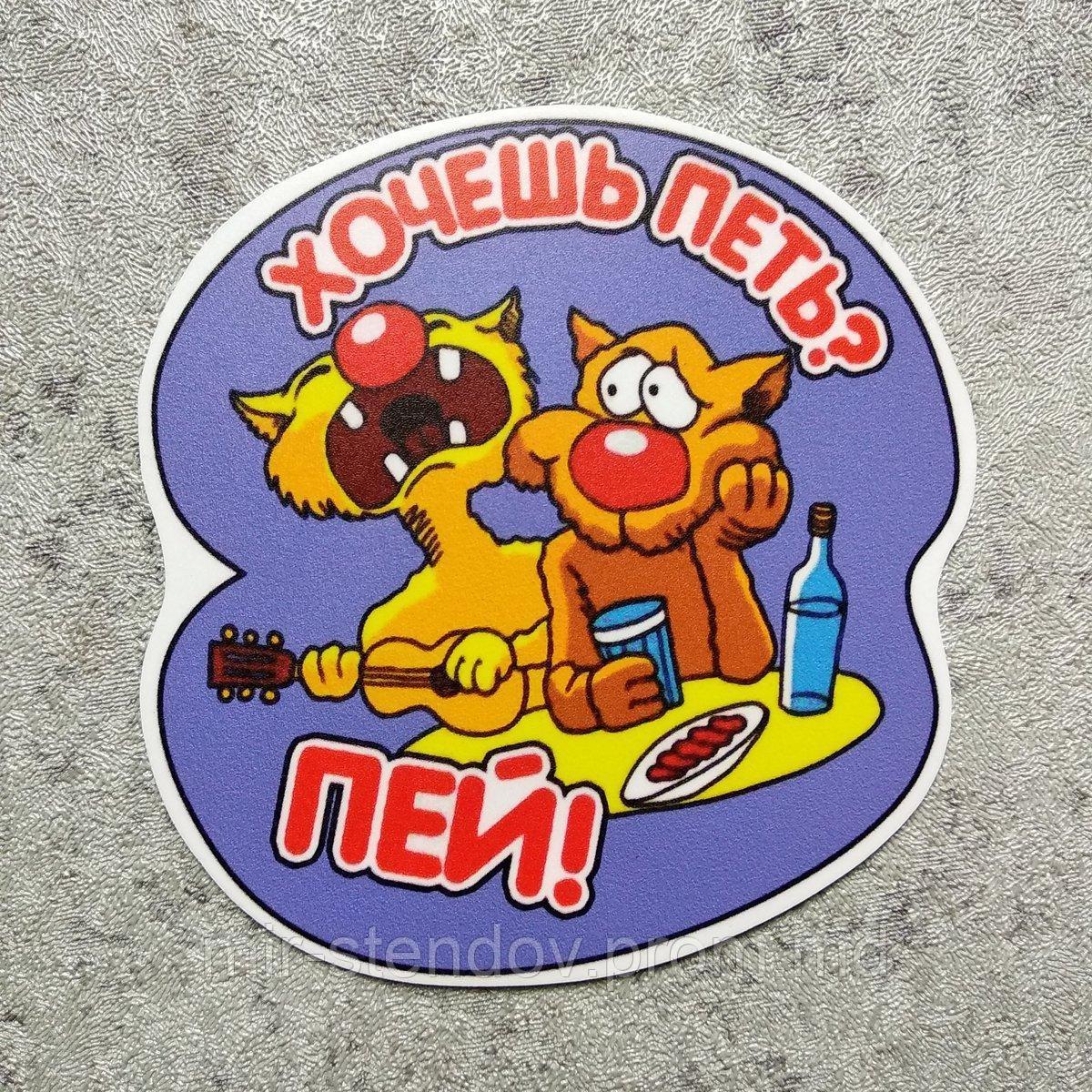 Магнит виниловый Хочешь петь - пей!, фото 1