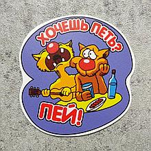 Магнит виниловый Хочешь петь - пей!