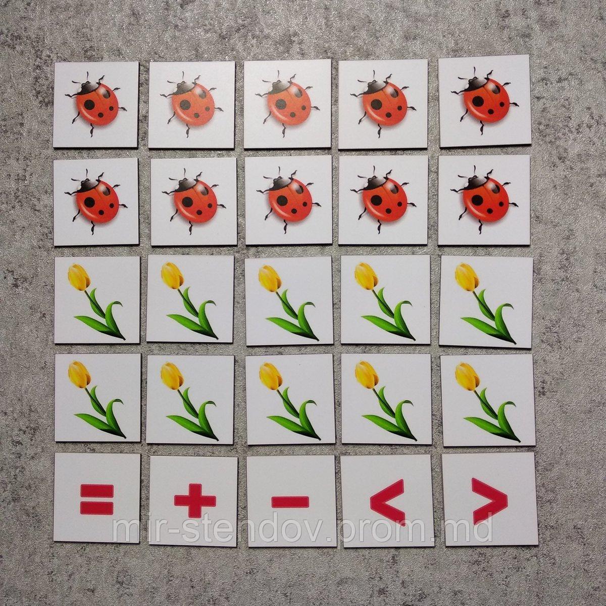 Магнитная математика. Набор магнитных карточек Цветы и божьи коровки - фото 1 - id-p9521073