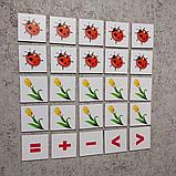 Магнитная математика. Набор магнитных карточек Цветы и божьи коровки, фото 2