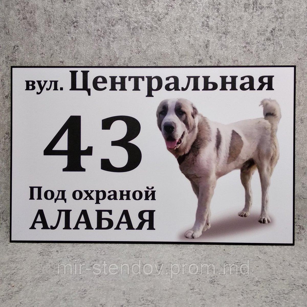 Адресная и предупреждающая табличка "Под охраной Алабая" (2 в 1)., фото 1