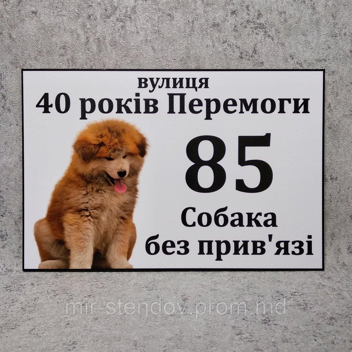 Адресная и предупреждающая табличка "Собака без привязи" (2 в 1) Японская Акита Ину - фото 1 - id-p10420497