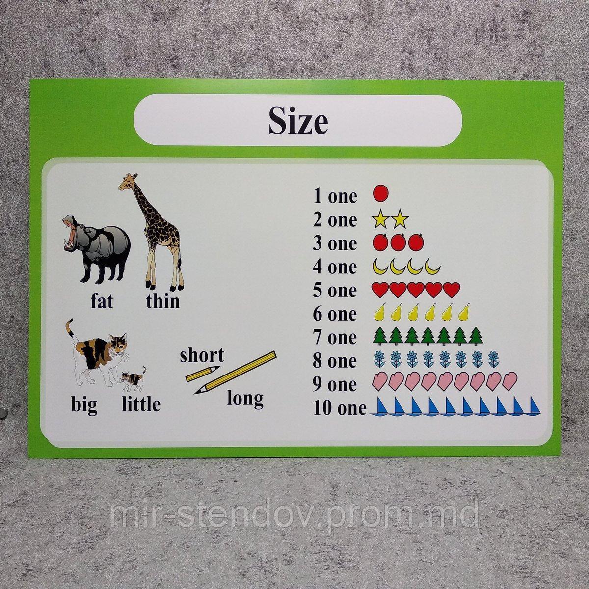 Size. Плакат для кабинета английского языка., фото 1