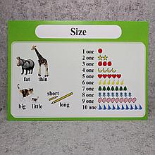 Size. Плакат для кабинета английского языка.