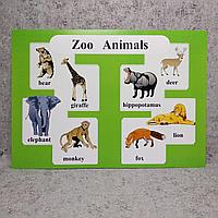 Zoo Animals. Плакат для кабинета английского языка.