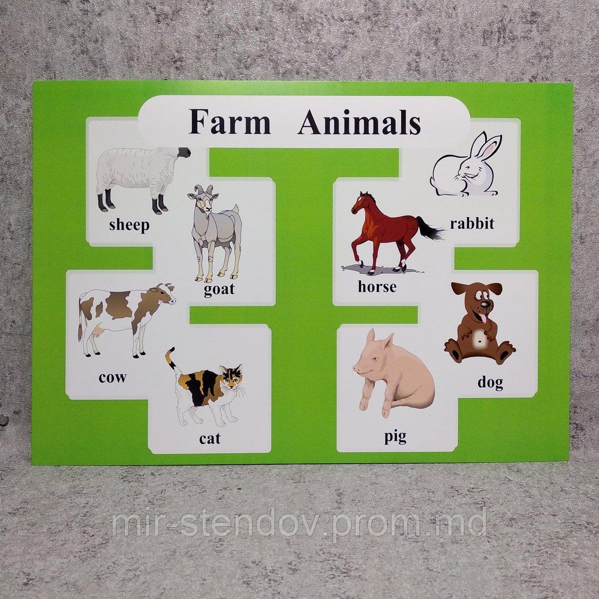 Farm Animals. Плакат для кабинета английского языка, фото 1