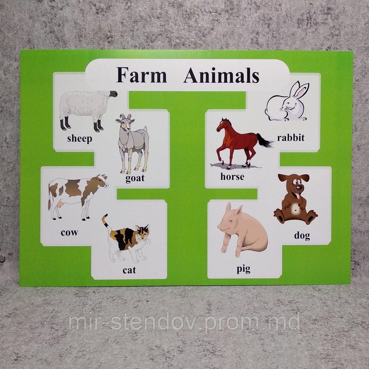 Farm Animals. Плакат для кабинета английского языка - фото 1 - id-p5994405