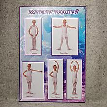 Стенд для балетной студии  Балетные позиции