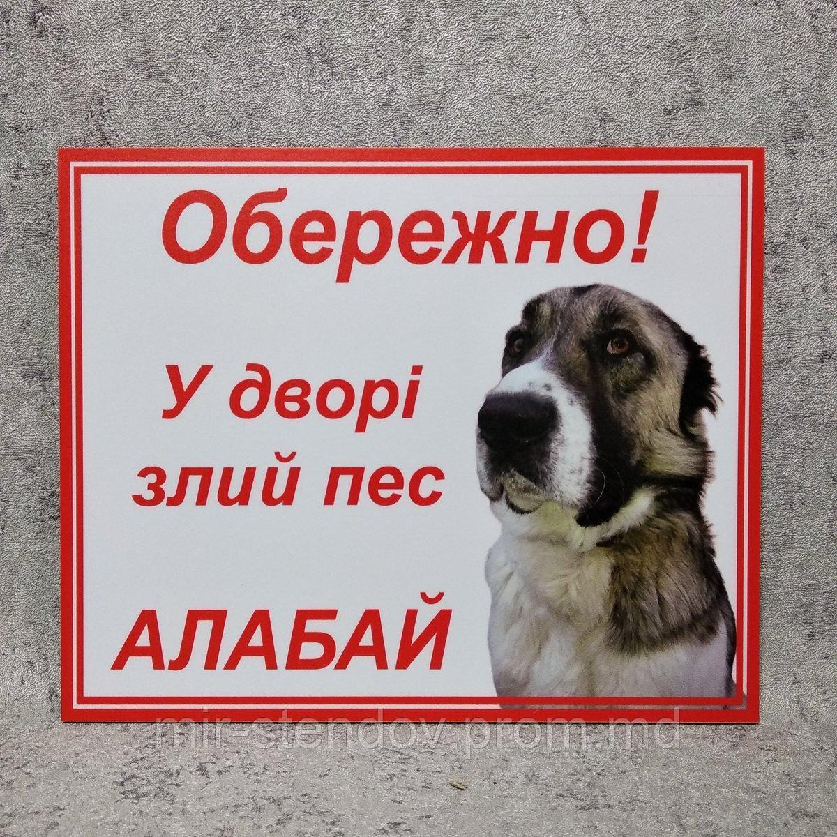 Табличка Обережно у дворі злий пес АЛАБАЙ - фото 1 - id-p10420699