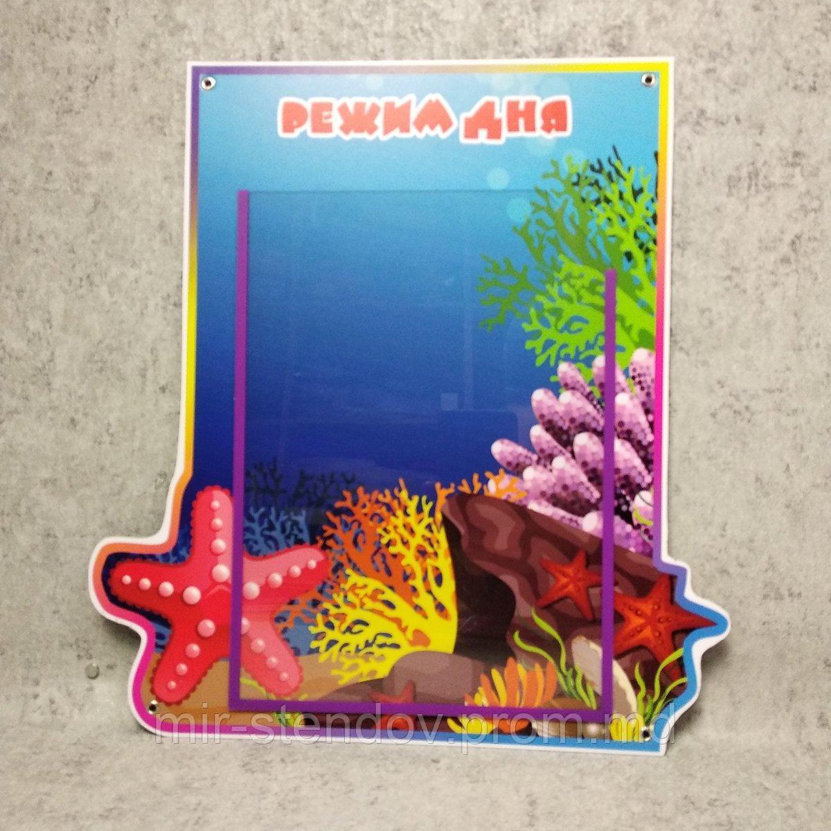 Режим дня. Стенд "Морские звездочки", фото 1