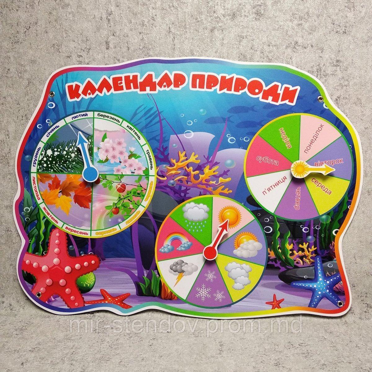 Календарь природы Морские звёздочки, фото 1