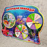 Календарь природы Морские звёздочки, фото 2