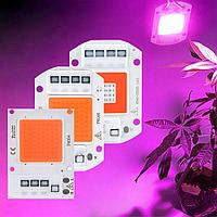 Светодиодный модуль COB LED 35W AC220 для растений