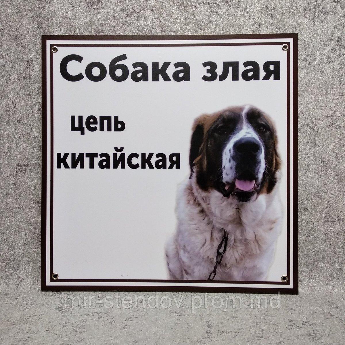 Табличка "Собака злая. Цепь китайская!" (Московская сторожевая) - фото 1 - id-p10424852