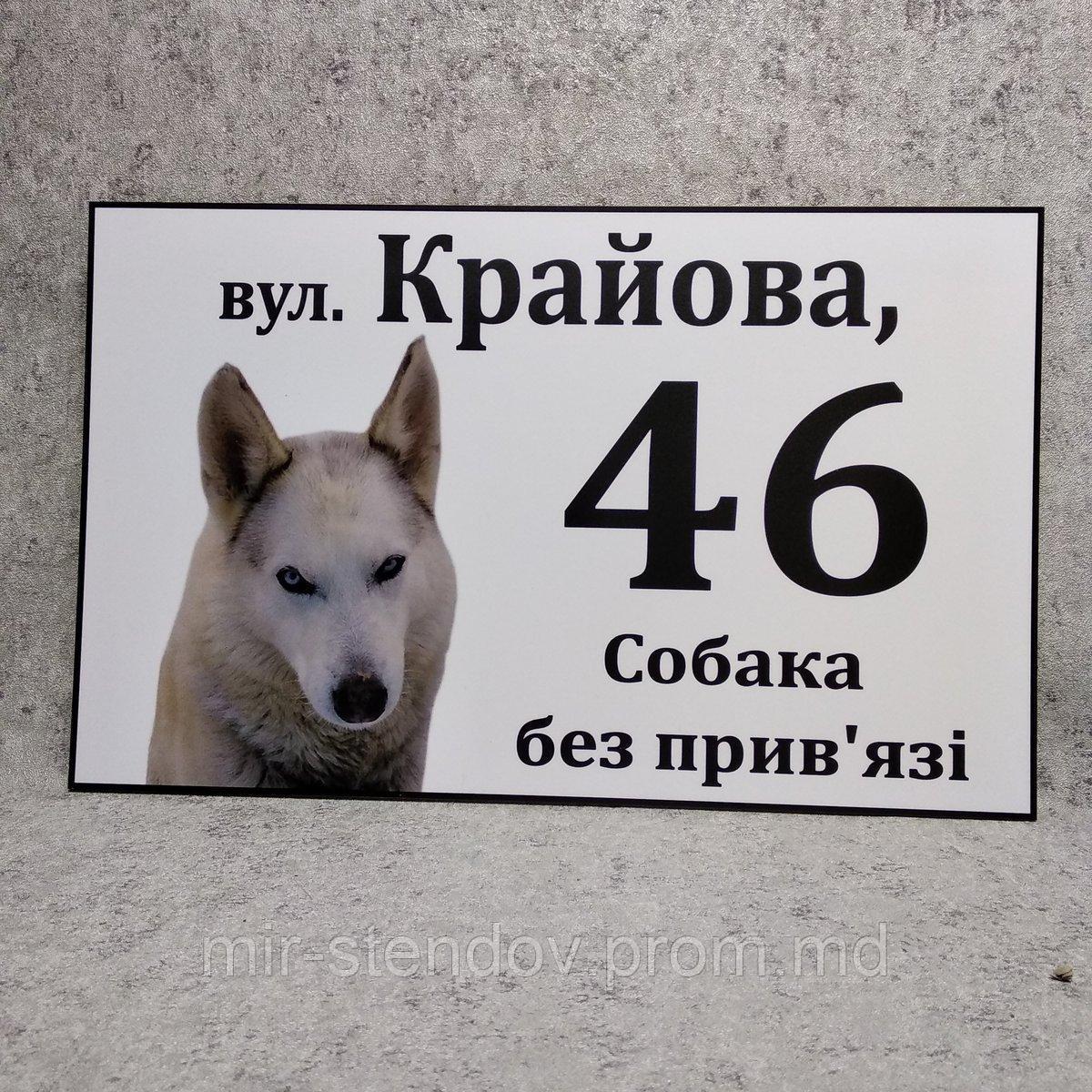 Адресная и предупреждающая табличка "Собака без привязи" (2 в 1) Лайка. - фото 1 - id-p10424856