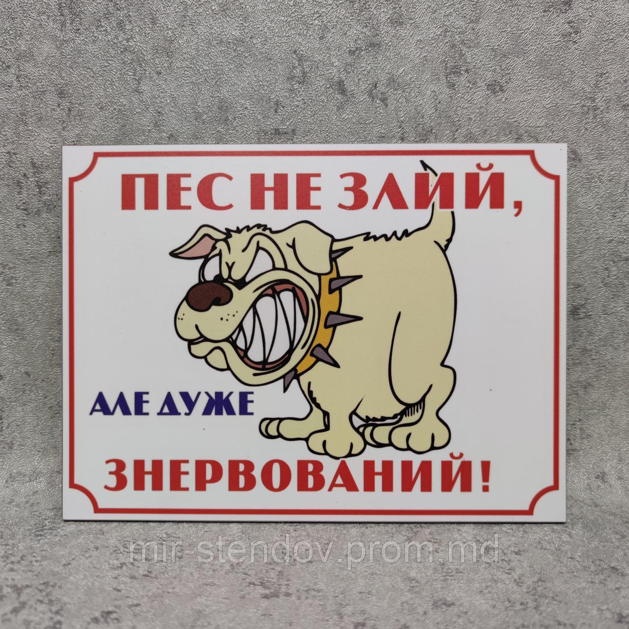 Табличка "Пёс не злой, но очень нервный" - фото 1 - id-p4426658