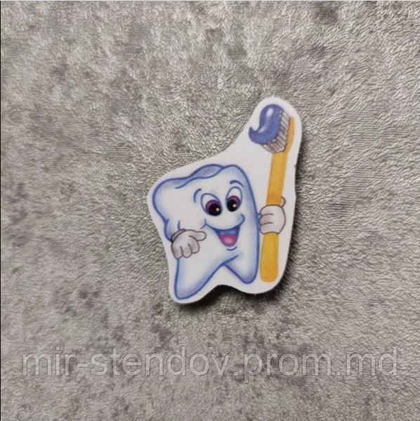 Зубик со щеткой. Учебный магнит, фото 1