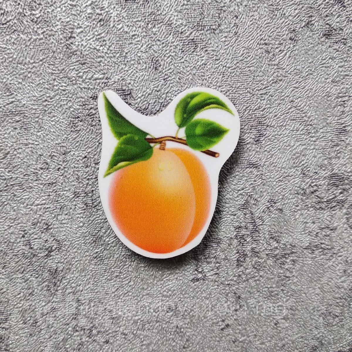 Абрикос. Учебный магнит, фото 1