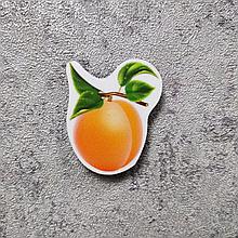 Абрикос. Учебный магнит