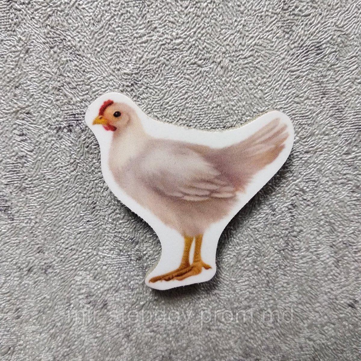 Курица. Магнит обучающий, фото 1