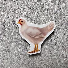 Курица. Магнит обучающий