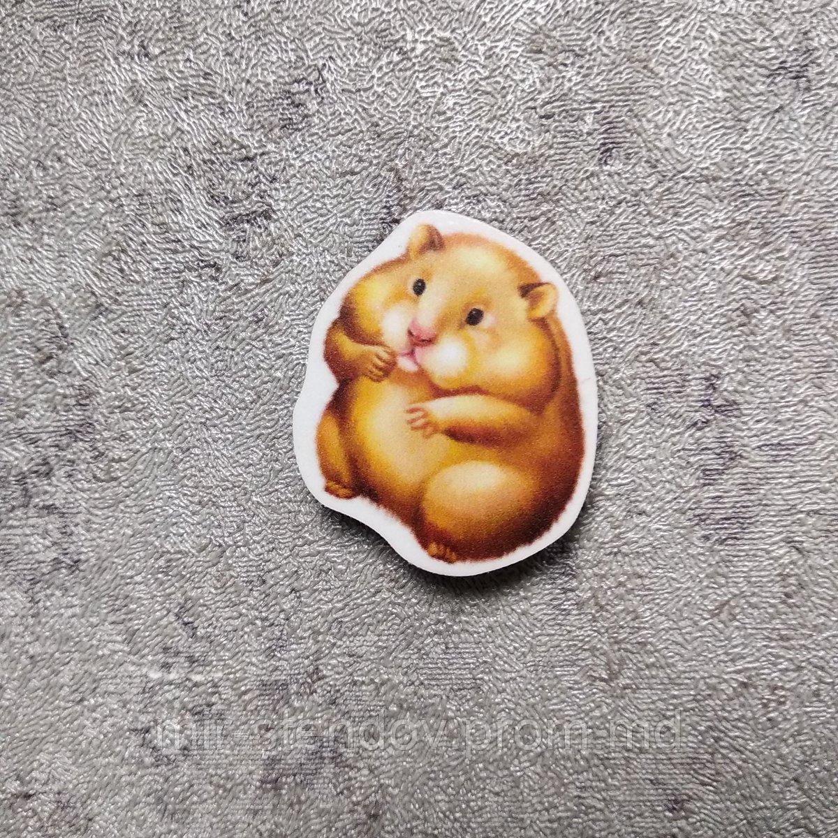 Хомяк. Магнит обучающий, фото 1