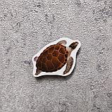 Черепаха. Магнит обучающий, фото 2