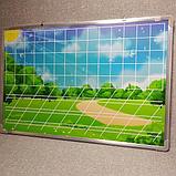 Магнитно-маркерная доска Полянка, фото 3