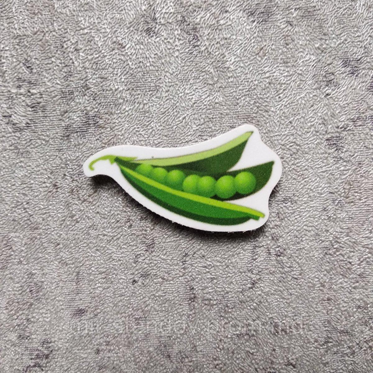 Горох. Магнит обучающий, фото 1