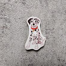 Собака. Магнит обучающий