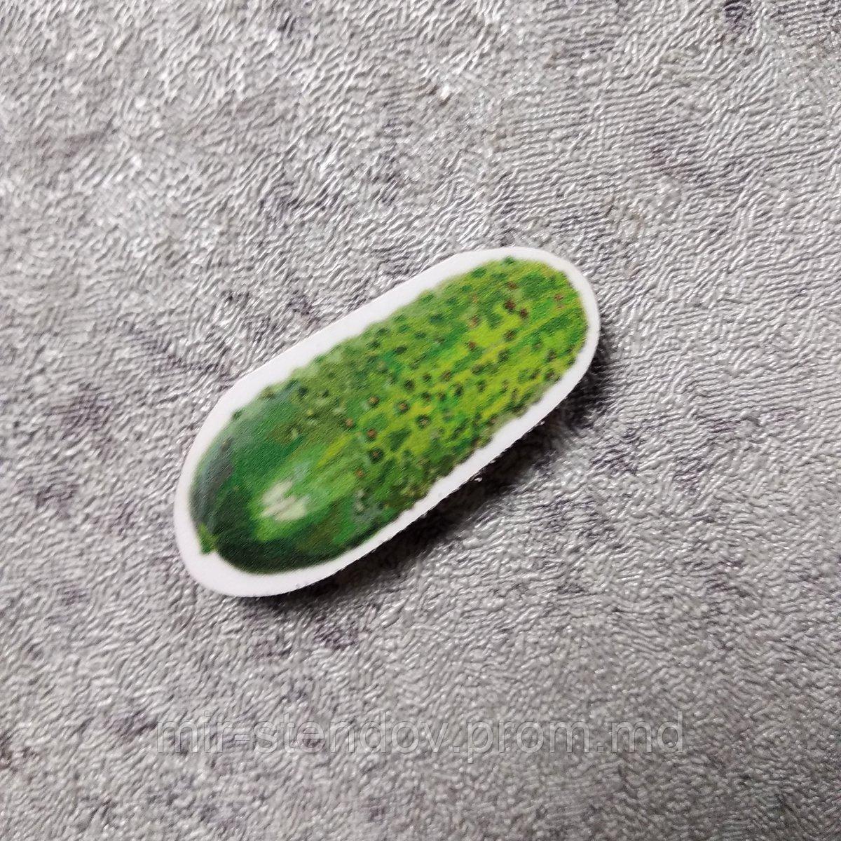 Огурец. Магнит обучающий, фото 1