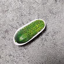 Огурец. Магнит обучающий