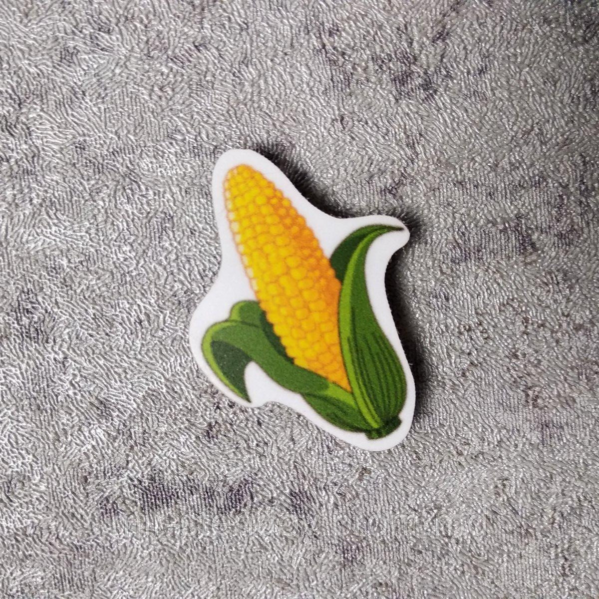 Кукуруза. Магнит обучающий, фото 1