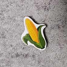 Кукуруза. Магнит обучающий